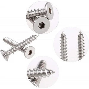 Stainless Steel  Self Tapping Screws For Plastics