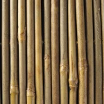 The cheapest price for straight raw bamboo poles from Vietnam