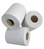 Toilet Tissue Toilet Paper Roll