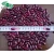 Import top quality british type red kidney bean from China