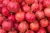 Import Top Quality Fresh organic Pomegranates from Brazil from Brazil