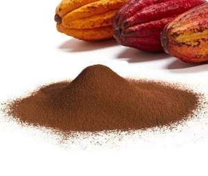 Top Quality Oragnic Cacao Powder with Dietary Fiber Content