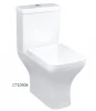 Two Piece Toilet Luxurious Close-coupled Toilet Suite elongated p-trap washdown flushing,full closed design