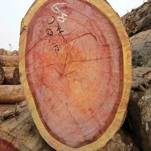 Ukraine Wood Logs/ Rosewood logs /timber logs