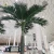 Import UV Proof Outdoor Coconut Artificial Coconut Tree Palm Tree Decoration from China