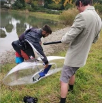 Vacuum thermoform clear plastic kayak PC boat thermoform kayak