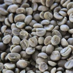 Vietnam Coffee Bean (100% Arabica, Robusta) with green bean & roasted bean.