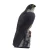 Import Visual Hawk Outdoor Shooting Animal Bird Bait Garden Decoration hunting decoys decoys for goose hunting wholesale from China