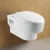 Import Wall Mounted Ceramic Toilet Seat from China