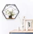 Import Wall Mounted Hexagonal Floating Shelves Farmhouse Storage Shelves for Wall,Bedroom and Living Room Set of 3 black from China