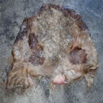 wet salted cow head skin_Raw Salted Cow Hide Skin