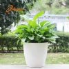 White plastic Succulent Cactus Planter Flower Pots with Bamboo Tray for Home Decoration