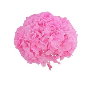 Wholesale Cheap Quality  Single  Hydrangea preserved  Flower  for house decoration