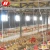 Import Wholesale China supplier small farm equipment chicken feeders and drinkers pig nipple drinker 1-2days to ship with factory price from China