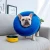 Import wholesale factory easy wear 5 size PVC inflatable cat dog protection neck cone elizabeth collar from China