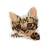 Import Wholesale factory price decorative embroidery iron on patches from China
