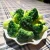Import Wholesale Factory Price Frozen Steam Broccoli Mixed Vegetable from China