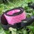Import Wholesale Hot Selling Quatrefoil Camera Belt Fashionable Camera Straps Dom 104015 from China