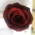 Import Wholesale Kunming   preserved roses for decoration from China
