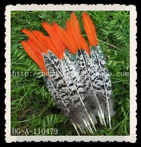 wholesale natural pheasant tail feathers