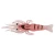 Import Wholesale new products 5 colors 4cm 1g isca artificial fishing products shrimp lure pescaria from China
