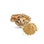 Wholesale Optimum Nutrition Pure Natural Grifola Frondosa Extract Maitake Mushroom Extract