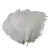 Import wholesale    Ostrich Feather 100pcs/lot 25-30cm Wedding Decorations Plume Performance from China