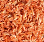 Wholesale price dried shrimp price
