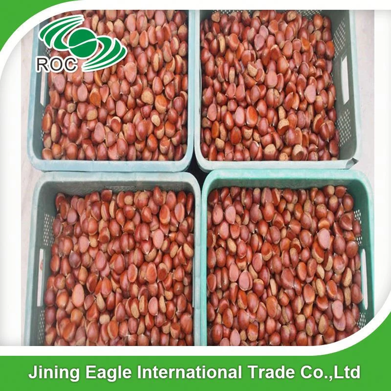 Wholesale price raw bulk fresh chestnuts for sale
