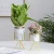 Import Wholesale simply Indoor Cylinder Ceramic Succulent pots planter with golden metal stand, Ceramic Cactus Planter Pot from China