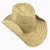 Import Wholesale SS17 Natural straw raffia crochet cowgirl hat from China