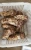 Import Wild Dried Matsutake Mushrooms Yunnan Tricholoma Matsutake from China