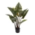 Import YD29506 2021 New 90cm artificial potted plants artificial  Taro indoor bonsai trees , chinese artificial plant from China