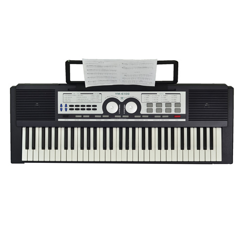 Keyboard Overview Instrument Buy Ym-6100 China Professional Musical Keyboard Instrument Electronic ...