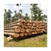 teak wood logs wholesale at factory price for buyers