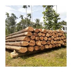 teak wood logs wholesale at factory price for buyers