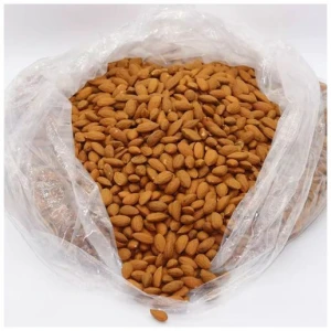 Premium Grade Almond Nuts for Food Processing and Wholesale Market