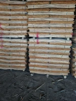 Eucalyptus core veneer for plywood production