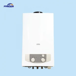 10L Demend-on Instant Tankless Gas Water Heater for Shower