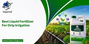 Ammonium Thiosulphate Solution