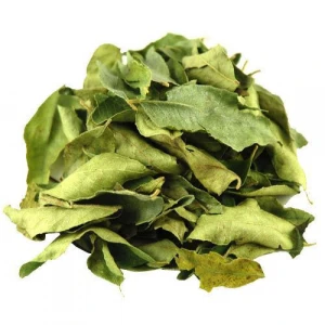Dried Curry Leaves (Curry Patta / Kathnim)