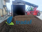 PALM KERNEL SHELL
