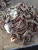Import Frozen Black Pomfret sellers , seafood from Pakistan , fish from Pakistan from Pakistan