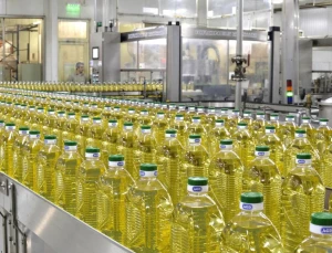 Sunflower Oil