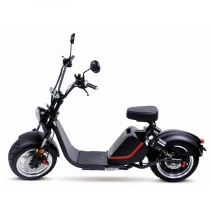 CE/EEC/COC Certificate 60V 20AH Lithium Battery 2000W Motor Electric Scooter adult Citycoco large electric motorcycle