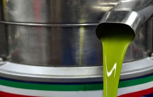 ultra-low sulphur Diesel Fuel EN590