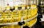 Import Sunflower Oil from USA