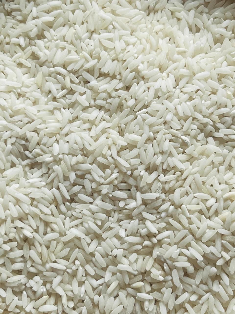 Buy Idli Rice – South Indian Premium Short Grain Kerala Matta Rice ...