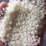 Sell Rice/Basmati/Longrain/Parboiled Rice