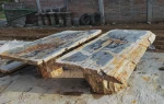 Petrified Wood Table